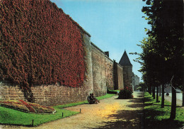 Delcampe - 52 LANGRES LES REMPARTS - Langres
