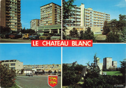 Delcampe - 76 SAINT ETIENNE DU ROUVRAY CHÃ‚TEAU BLANC - Saint Etienne Du Rouvray