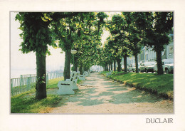 Delcampe - 76 DUCLAIR L ALLEE DES TILLEULS - Duclair
