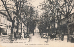 Delcampe - 33 VERDELAIS LES ALLEES - Verdelais