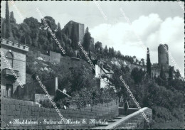 Delcampe - Bg612 Cartolina Maddaloni Salita Al Monte S.michele Provincia Di Caserta - Caserta