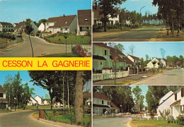 Delcampe - 77 CESSON LA GAGNERIE - Cesson