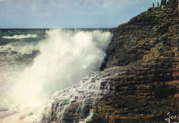 Delcampe - 29 PLOUGUERNEAU TEMPETE SUR LA COTE D EMERAUDE - Plouguerneau