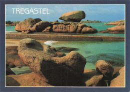 Delcampe - 22 TREGASTEL LA COTE DE GRANIT ROSE - Trégastel