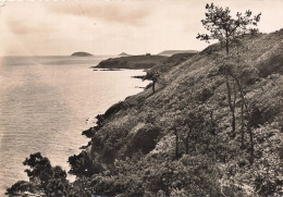 Delcampe - 22 PAIMPOL LA FALAISE DE PAIMPOL - Paimpol