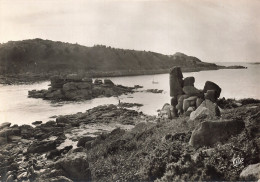 Delcampe - 22 TREBEURDEN PASSE DE MILLIAU - Trébeurden