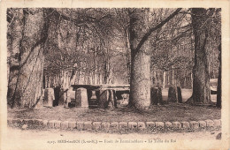 Delcampe - 77 BOIS LE ROI LA FORET - Bois Le Roi