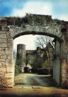 Delcampe - 86 LES TROIS MOUTIERS LE CHÂTEAU DE LA MOTHE - Les Trois Moutiers