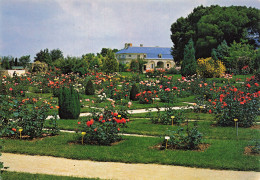 Delcampe - 49 DOUE LA FONTAINE JARDIN DES ROSES ET ECURIES FOULON - Doue La Fontaine