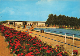 Delcampe - 49 CHALONNES SUR LOIRE LA PISCINE - Chalonnes Sur Loire