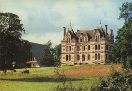 Delcampe - 49 CHALONNES SUR LOIRE LE CHÂTEAU LE GRAND MONTAIGU - Chalonnes Sur Loire