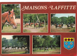 Delcampe - 78 MAISONS LAFFITTE CHEVAUX A L ENTRAINEMENT - Maisons-Laffitte
