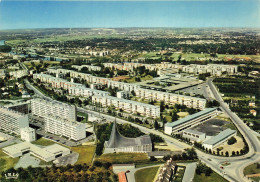 Delcampe - 78 MARLY LE ROI LES GRANDES TERRES - Marly Le Roi