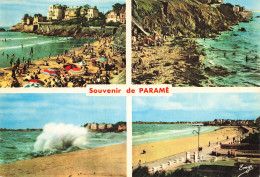 Delcampe - 35 PARAME - Parame