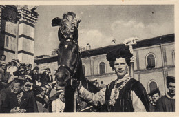 Delcampe - * PALIO DI SIENA - Cavallo E Barbaresco Di Una Contrada  Ed.Venturini - Siena