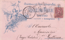 Delcampe - * TREVISO - Stabilimenti Tipo Litografici  Guglielmo Nardi 1901 - Treviso