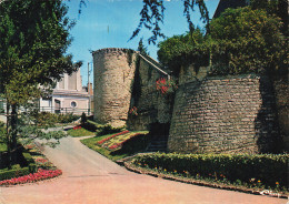 Delcampe - 79  THOUARS LES FORTIFICATIONS PARC IMBERT - Thouars