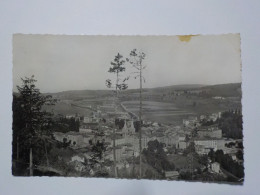 Delcampe - LA LOUVESC  Vue Générale - La Louvesc