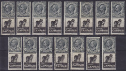 Delcampe - Italie - Ensemble De 15 Timbres 15c Ardoise Victor-Emmanuel III Avec Vignettes PUB CAMPARI (1917-1922) - Publicidad