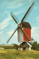 Delcampe - N°43711 Z -cpsm Someren -moulin à Vent- - Windmühlen