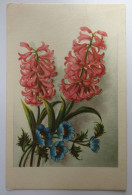 Delcampe - FLEURS - Hyancinthes - Blumen