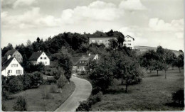 Delcampe - Ludwigsburg Landheim Lutzenburg - Ludwigsburg