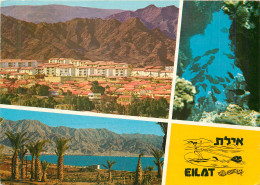 Delcampe - CPM Eilat - Israel