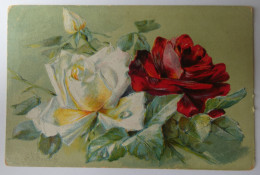Delcampe - FLEURS - Roses - Blumen