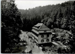 Delcampe - KAISERSLAUTERN CITY Naturfreundehaus - Kaiserslautern