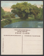 Delcampe - Ceylon Old Colour Postcard Peradeniya Gardens Graceful Bamboos Bamboo Trees Lake - Sri Lanka (Ceylon)