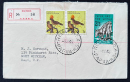 Delcampe - 1965 Papua New Guinea Birds Bowerbird Registered Cover To UK - Papua-Neuguinea