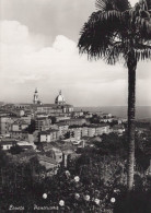 Delcampe - CARTOLINA  LORETO ANCONA MARCHE PANORAMA VIAGGIATA 1963  Z54 - Ancona