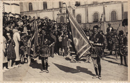Delcampe - * PALIO DI SIENA - Comparsa Di Una Contrada  Ed.Venturini - Siena