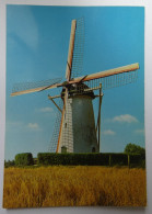 Delcampe - PAYS-BAS - ZEELAND - VEERE - BIGGEKERKE - Korenmolen - Veere