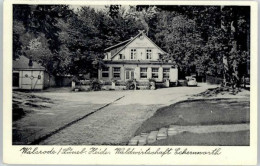 Delcampe - Walsrode Lueneburger Heide Walsrode Waldwirtschaft Eckerworth - Walsrode