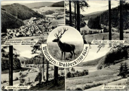 Delcampe - Willingen Sauerland Willingen - Sonstige & Ohne Zuordnung