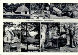 Delcampe - Fallingbostel - Fallingbostel