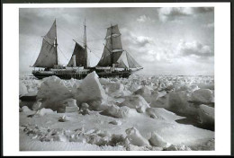Delcampe - ENDURANCE FULL SAIL Imperial Trans ANTARCTIC Expedition Shackleton 1914 Postcard - Autres & Non Classés