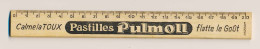 Delcampe - Règle En Bois Double Décimètre Publicité Pour Les Pastilles Pulmoll - Autres & Non Classés