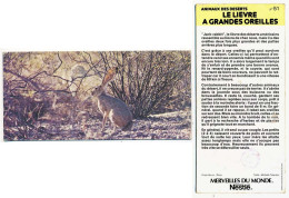 Delcampe - Image, Fiche Illustrée, Photo MERVEILLES DU MONDE De Nestlé N° 51 Animaux Des Déserts LE LIEVRE A GRANDES OREILLES - Animaux