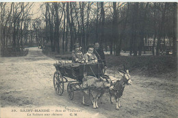Delcampe - CPA  ANIMÉE  - SAINT MANDÉ - BOIS DE VINCENNES - LA VOITURE AUX CHÈVRES  - - Saint Mande
