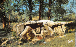 Delcampe - ERNEE Le Dolmen 9(scan Recto-verso) MA1409 - Ernee