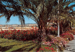 Delcampe - CANNES Le Sjardins De Pierre Longue 7(scan Recto-verso) MA1463 - Cannes