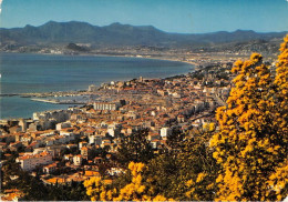 Delcampe - CANNES Vue Panoramique Sur La Ville Le Golfe De La Napoule 9(scan Recto-verso) MA1463 - Cannes