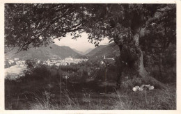 Delcampe - DIGNE Vue Generale 3(scan Recto-verso) MA1458 - Digne