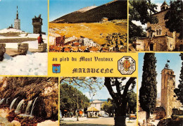 Delcampe - MALAUCENE Le Sommet Du Mont Ventoux Bergerie 22(scan Recto-verso) MA1452 - Malaucene