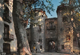 Delcampe - CERET La Porte De France Tours Des Anciens Remparts 8(scan Recto-verso) MA1451 - Ceret