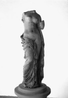 Delcampe - AGEN Le Musée Venus 33 (scan Recto Verso)MA1490UND - Agen