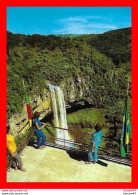 Delcampe - CPSM/gf  CANELA (Bresil).  Vista Do Mirante Da Cascata Do Caracol, Animé.  .*868 - Sonstige