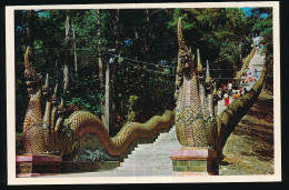 Delcampe - CPSM / CPM 10.5 X 15 Thaïlande (12) Wat Phrathat Doi Suthep, Chieng Mai Province, Northern Thailand  Temple Serpent-roi - Thaïland
